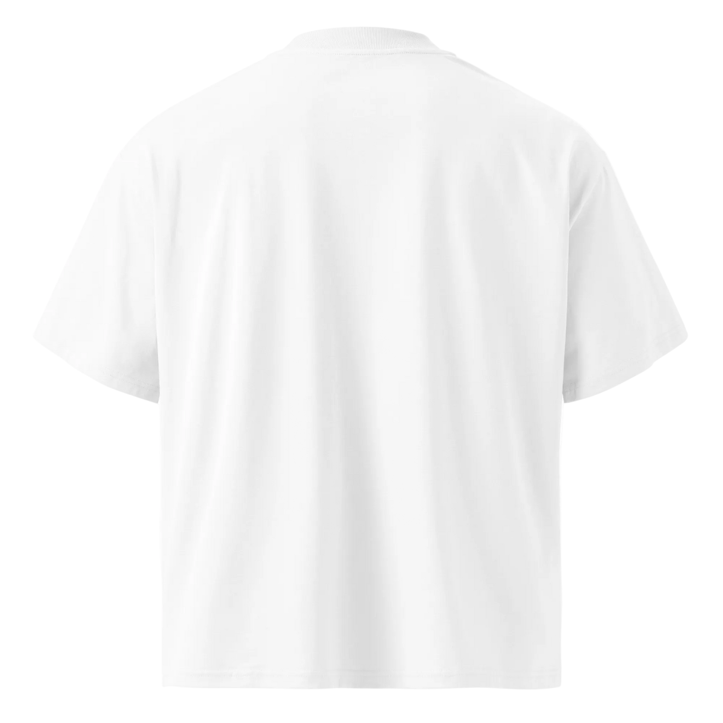 Oversized T-shirt – France Edition F
